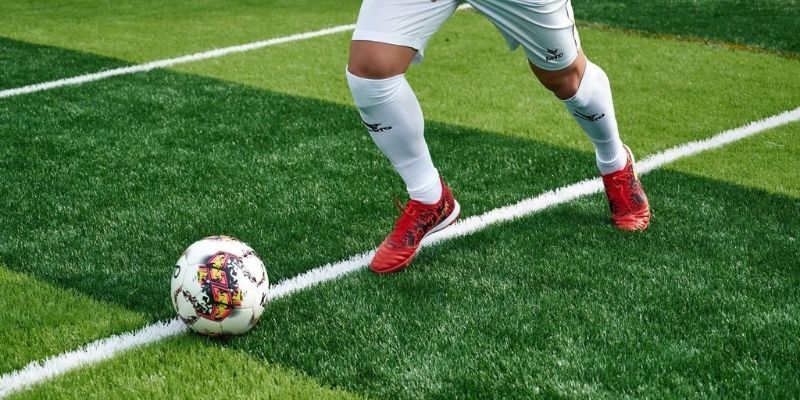 Giới thiệu Hệ sinh thái giải trí phong phú tại tỷ lệ cá cược